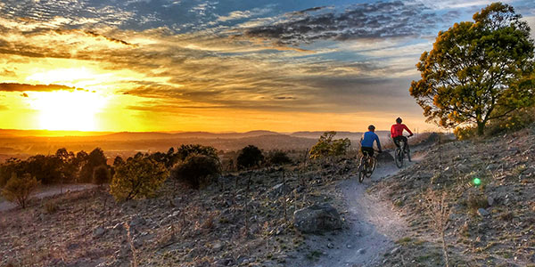 Mountain bikers riding at Stromlo Forest Park at sunset