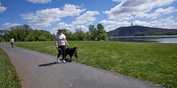 Person walking dog near lake