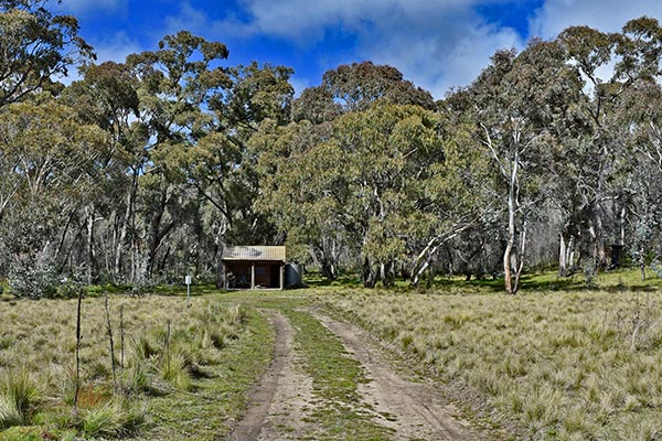 Walkers on the Brandy Flat trail