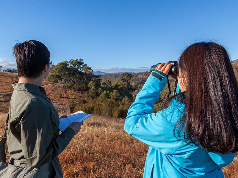 Two people stand on a dry grassy hillside overlooking a bushland landscape. One person uses binoculars to scan the distance while another holds a notebook or field guide, observing the surrounding environment under a clear blue sky.